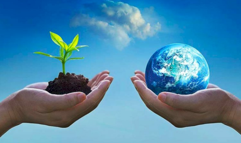 Environmental Awareness